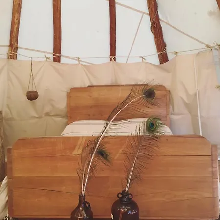 Tipi Dans La Foret *