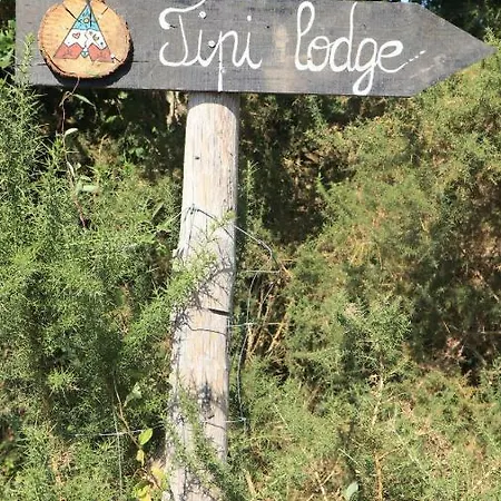 Tipi Dans La Foret *