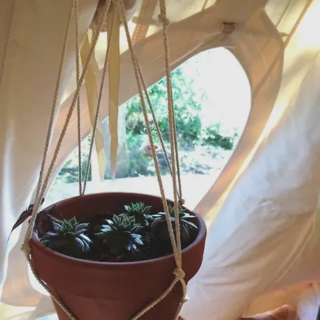 Luxury tent Tipi Dans La Foret *