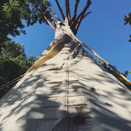 Tipi Dans La Foret *