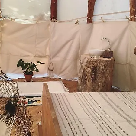 Tipi Dans La Foret