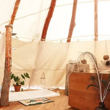 Οργανωμένο κάμπινγκ Tipi Dans La Foret Mimizan-Plage