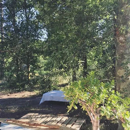 Tipi Dans La Foret Οργανωμένο κάμπινγκ