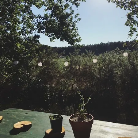 Tipi Dans La Foret * Mimizan-Plage